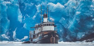 Explore Alaska's fjords, nature, wildlife and culture with the expert crew of the tugboat Swell.