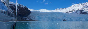 Tidewater Glacier